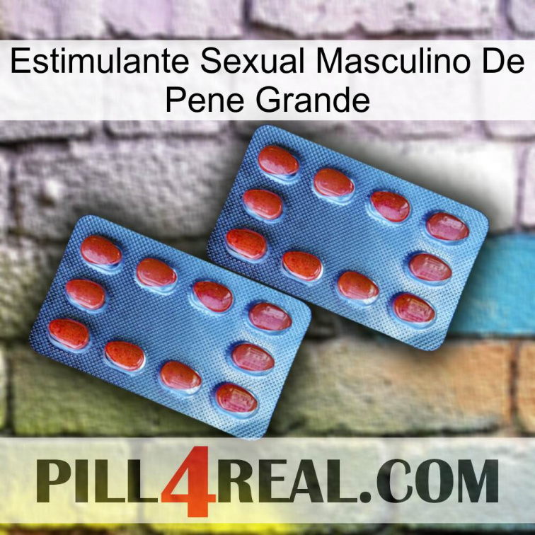 Big Penis Male Sexual Stimulant 05